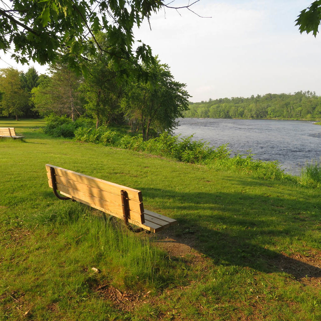 bench by the river