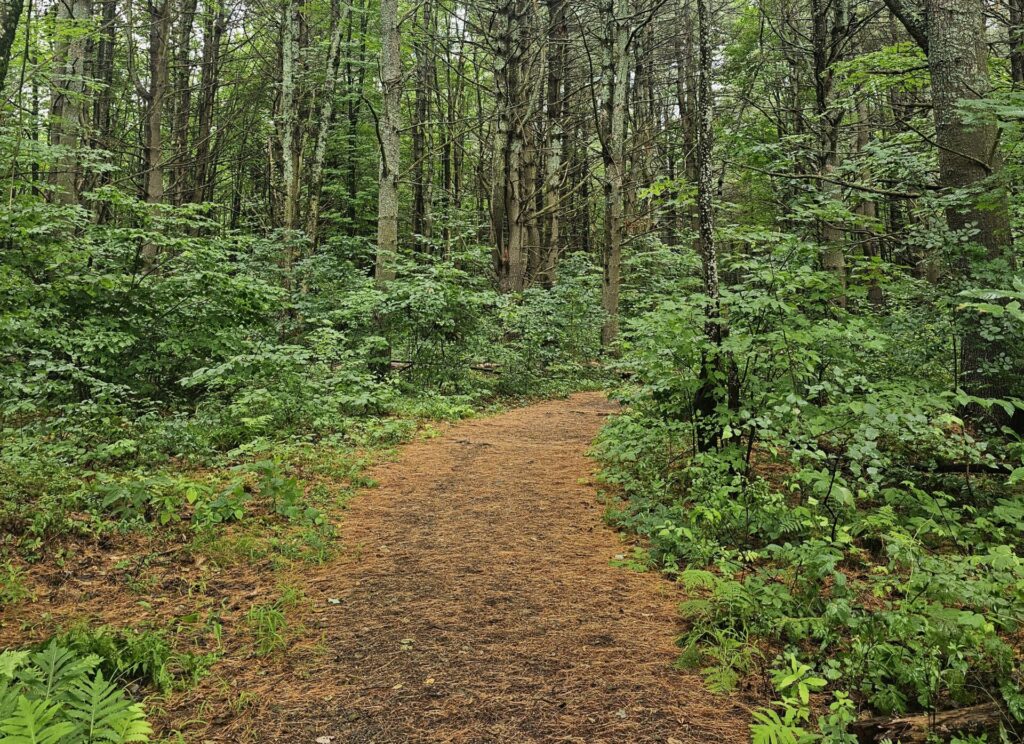 Fairfield Community Trails