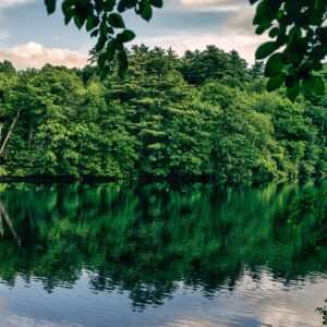 Benton River Park trail