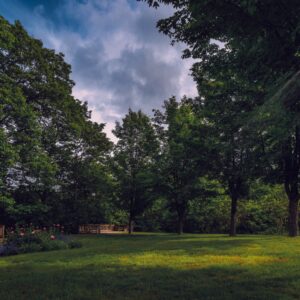 Benton River Park trail