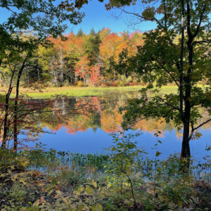 Messalonskee Stream Trail