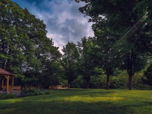 Benton River Park trail