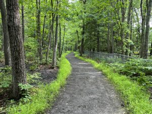 Photo credit: Judy Sawin