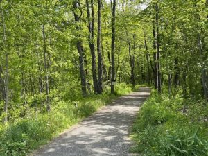 Photo credit: Judy Sawin