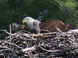 Photo credit: Tina Philbrick Richard